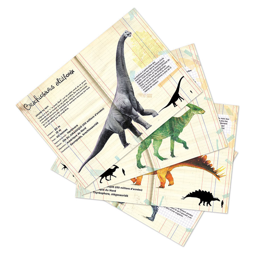 Set de 21 Magnets Dinosaures