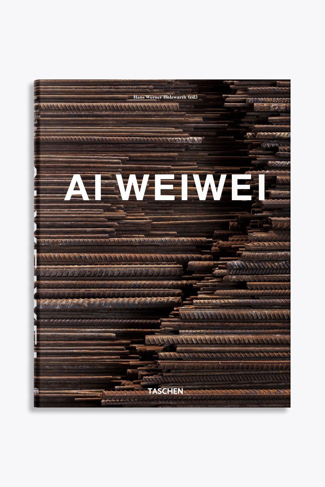 Big Ai Weiwei
