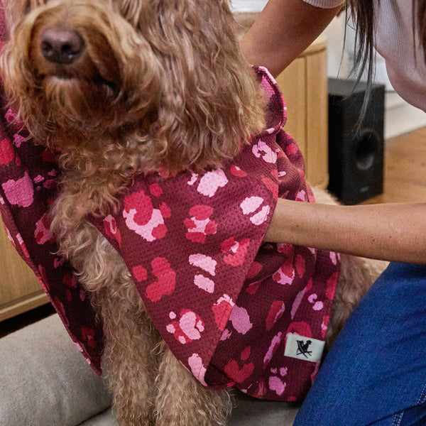 Dog Towel