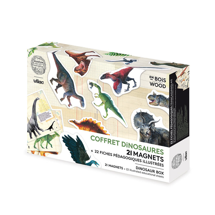 Set de 21 Magnets Dinosaures