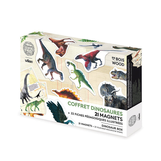 Set de 21 Magnets Dinosaures